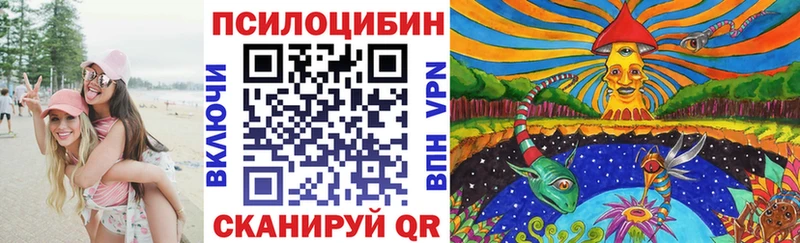 Псилоцибиновые грибы Cubensis как найти Кола